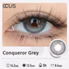 Conqueror Grey - thumbnail 2